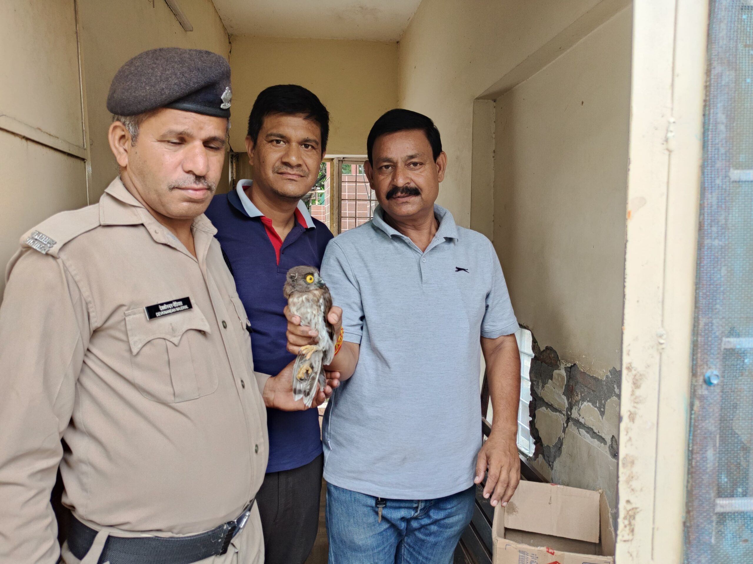 hindi-news