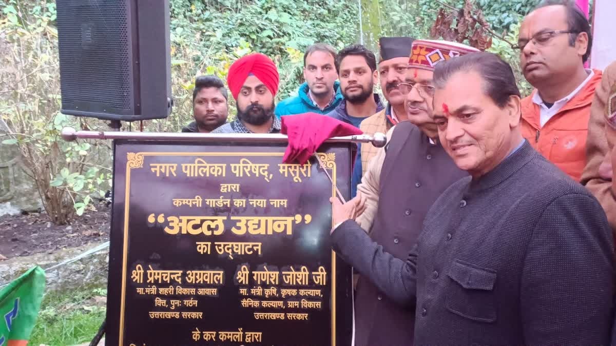 hindi-news