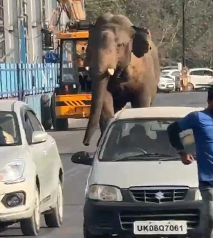 hindi-news