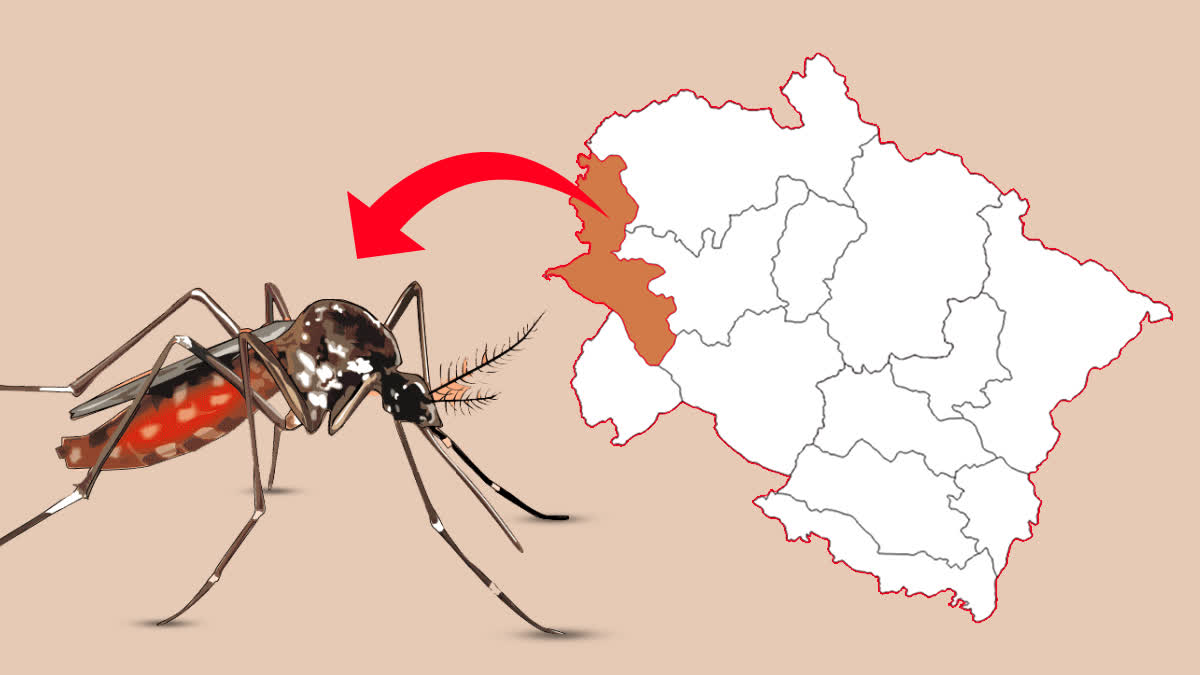 hindi-news