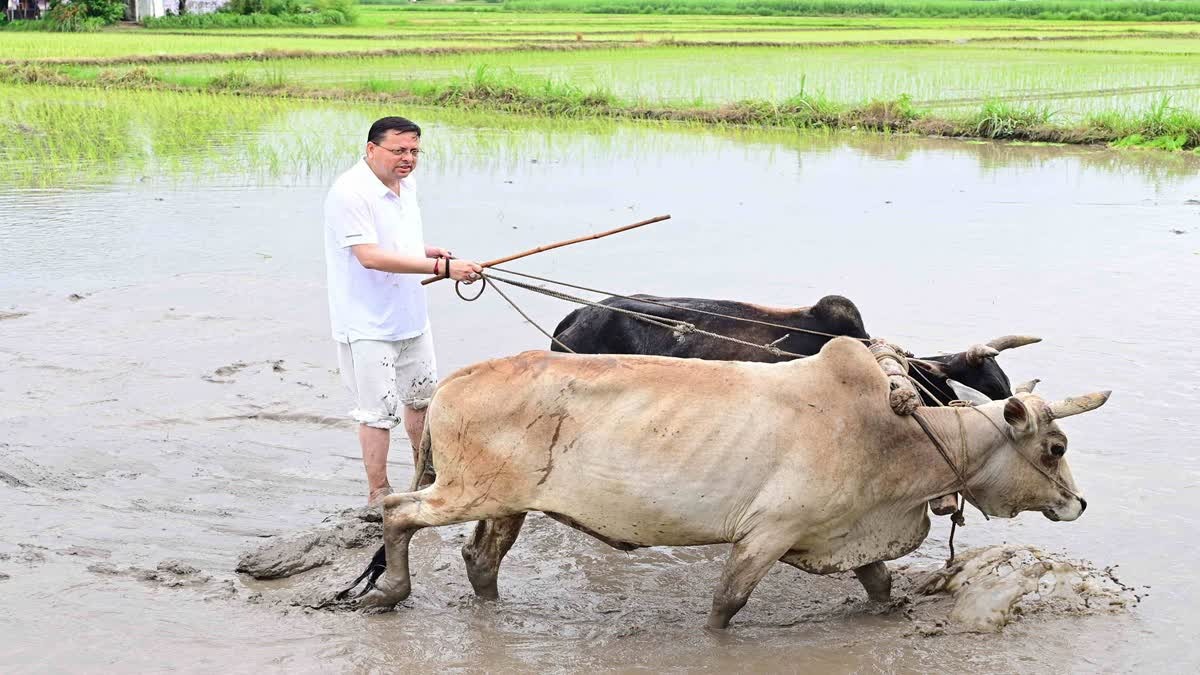 hindi-news