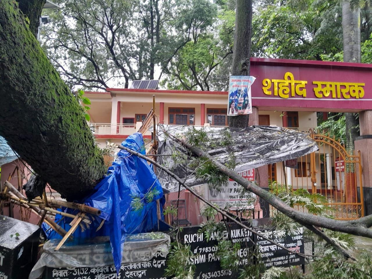 hindi-news