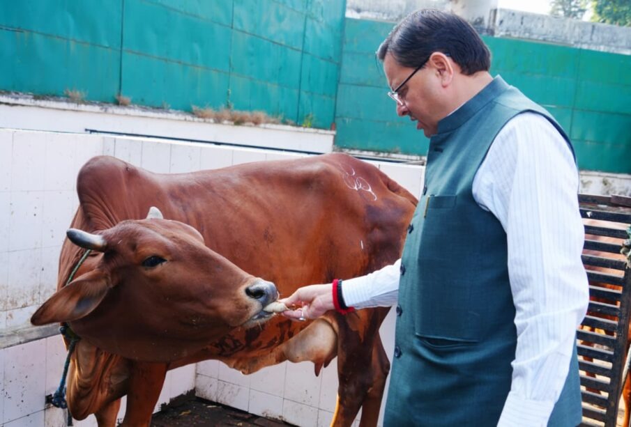 hindi-news