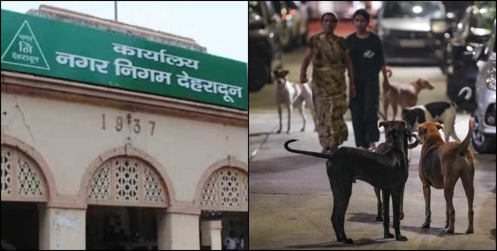 hindi-news