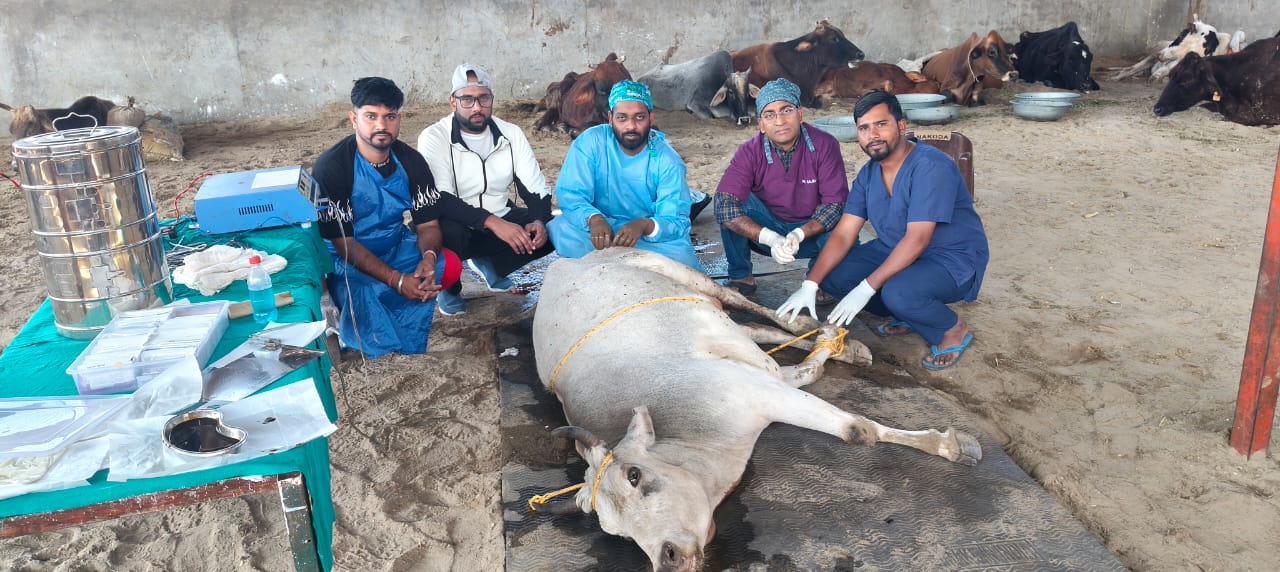 hindi-news