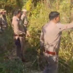 Barkot police take major action against drug abuse, destroy cannabis cultivation spread over 5-6 acres of land