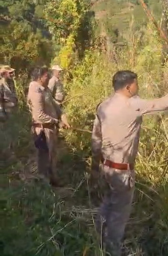 Barkot police take major action against drug abuse, destroy cannabis cultivation spread over 5-6 acres of land